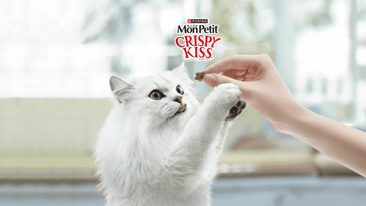 モンプチ クリスピーキッス - 猫用おやつ - ピュリナ公式サイト